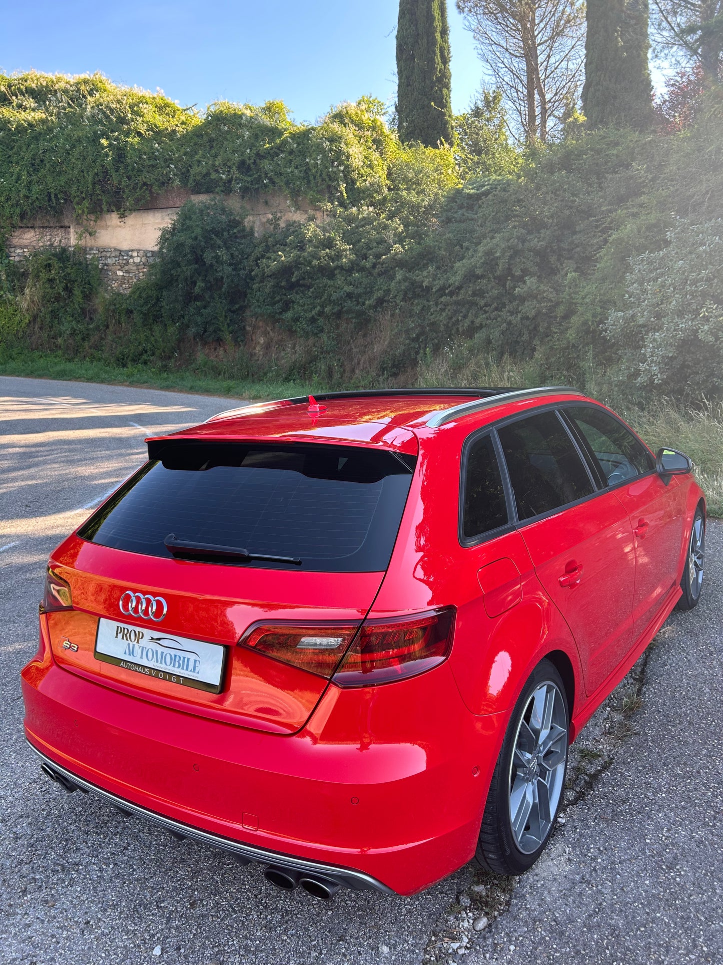 AUDI S3 8V1