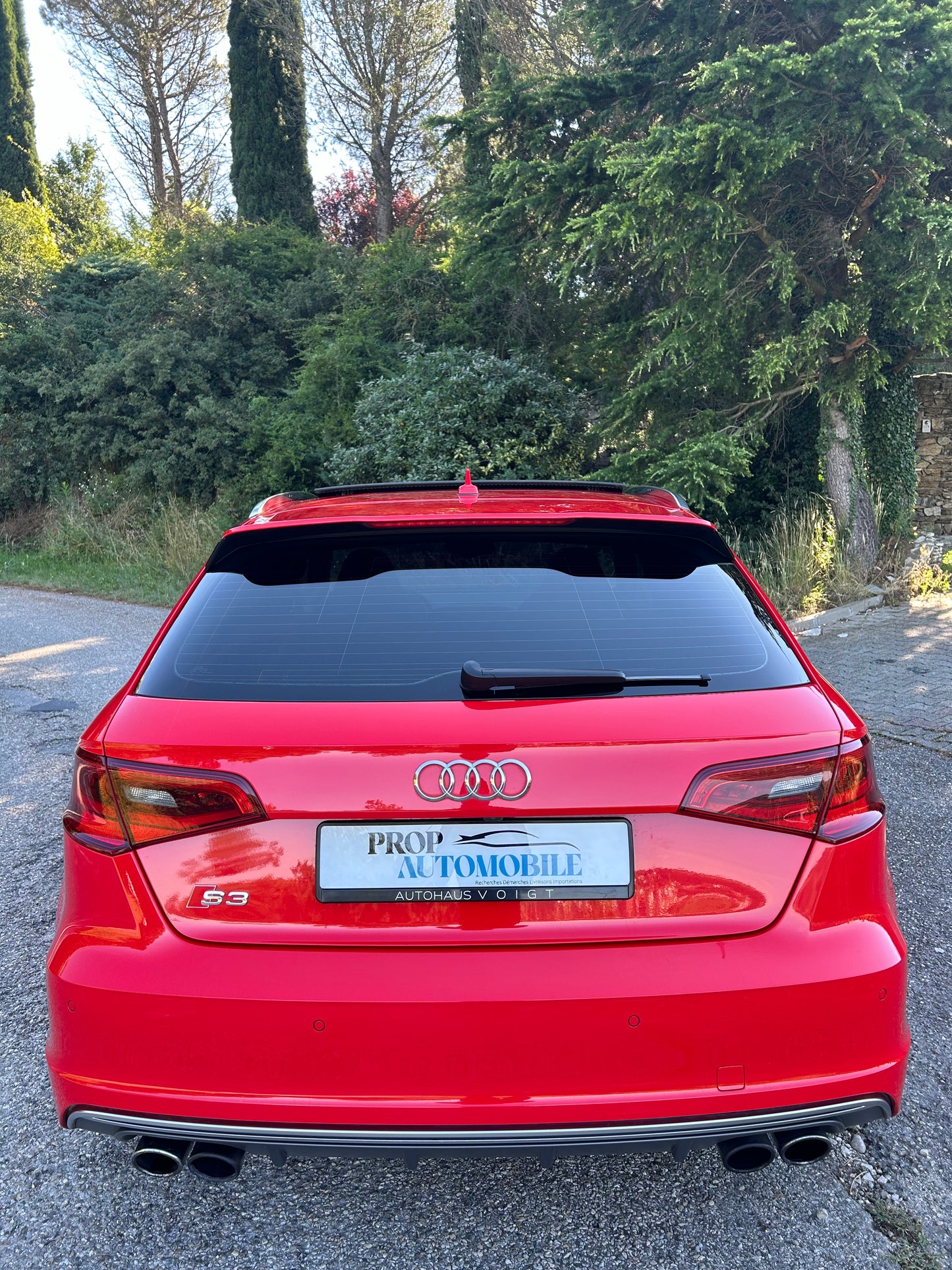 AUDI S3 8V1