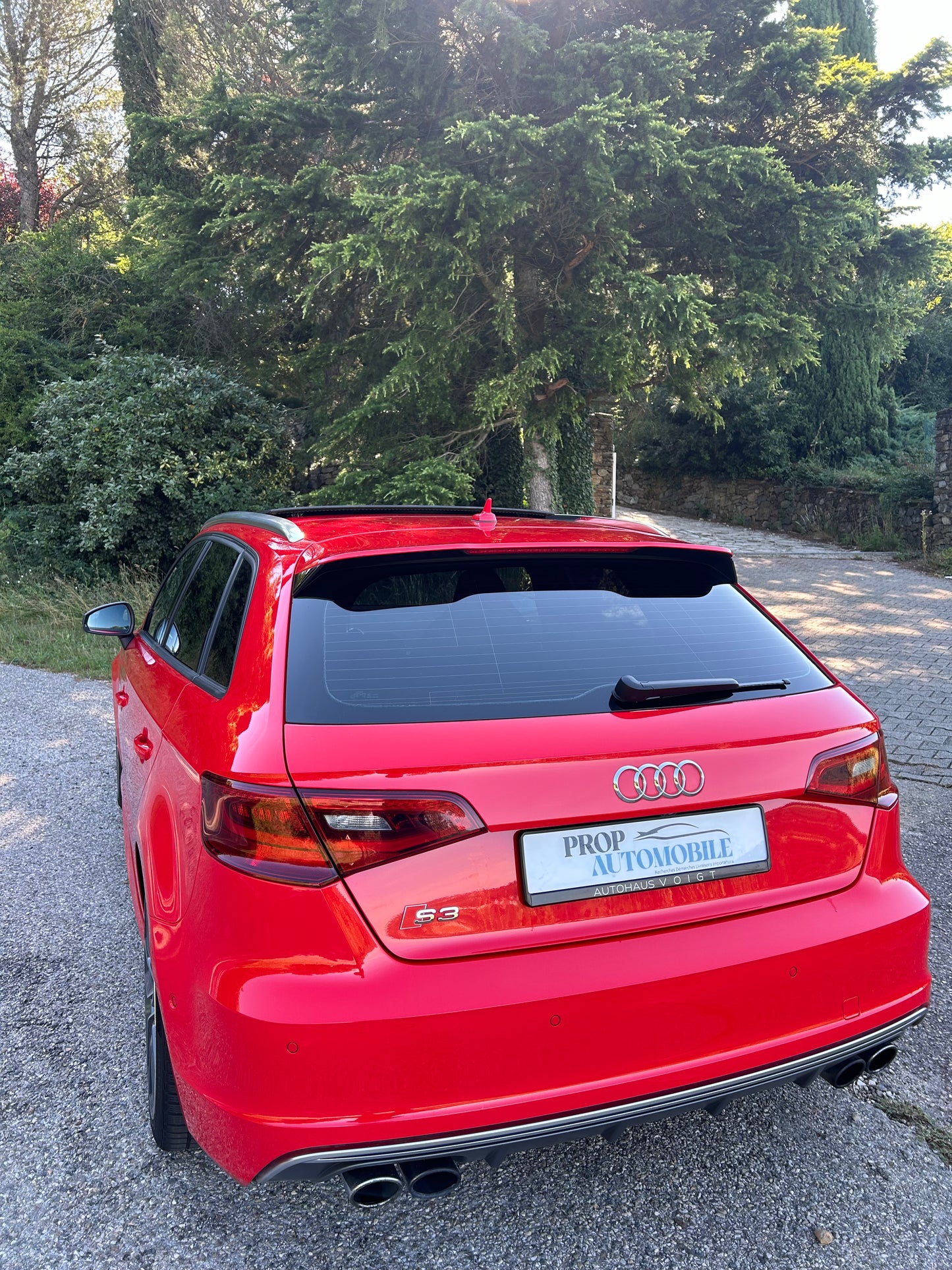 AUDI S3 8V1